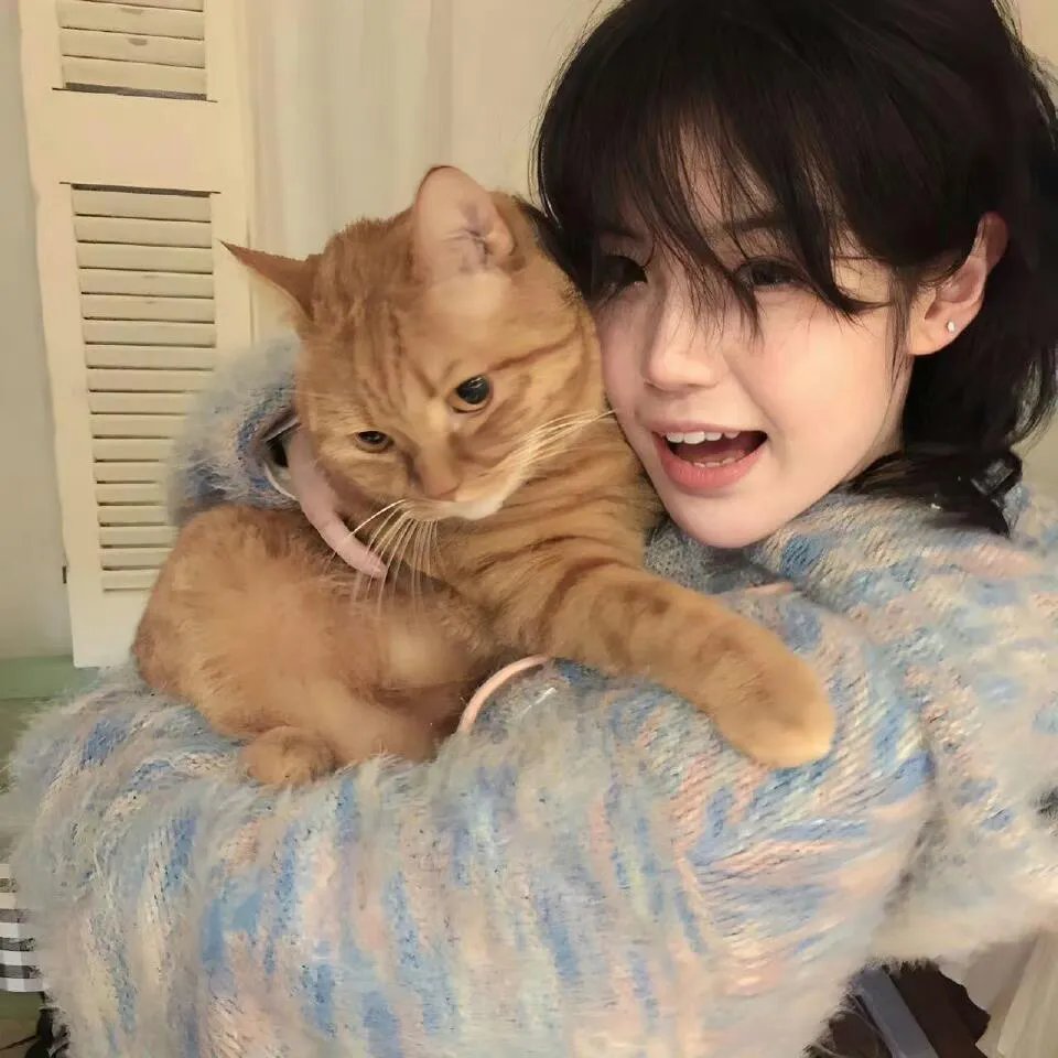 泰山宝藏